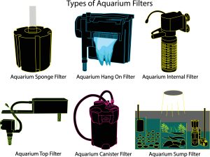 Sponge Filter v Power filter for a fish tank